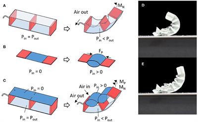 Frontiers A Novel Soft Bending Actuator Using Combined Positive And